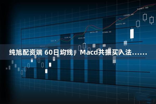 纯旭配资端 60日均线，Macd共振买入法……