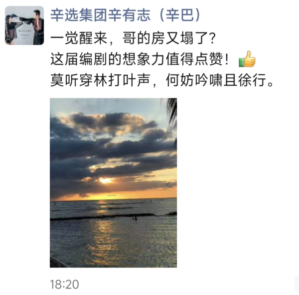 大旗策略 传被带走调查？辛巴朋友圈如此回应