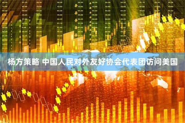 杨方策略 中国人民对外友好协会代表团访问美国